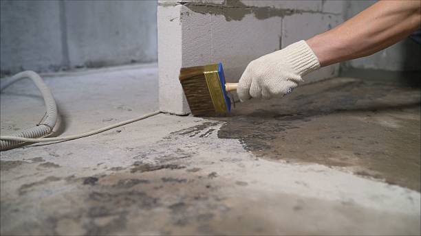 24/7 Emergency Interior Drainage System experts in Lewisburg, KY